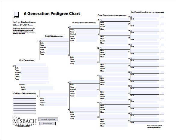 free printable pedigree template